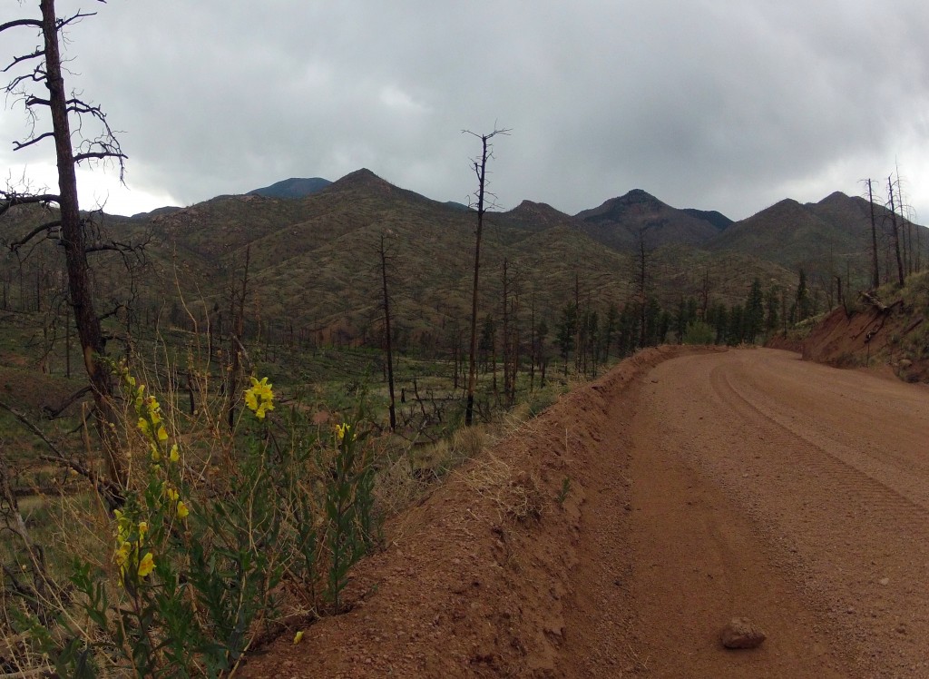 Into the Hayman Burn area