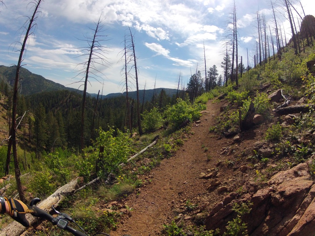 Climbing on the Colorado Trail